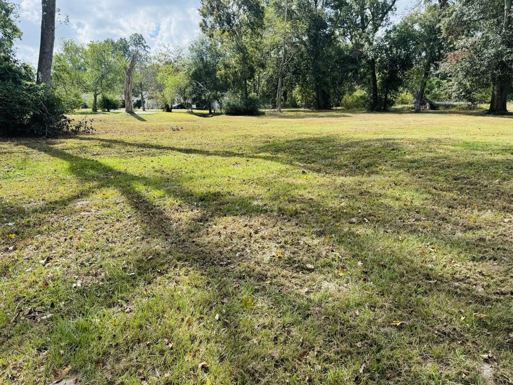 Photo of TBD Clarence St, Dayton, TX 77535 (MLS # 3160777)
