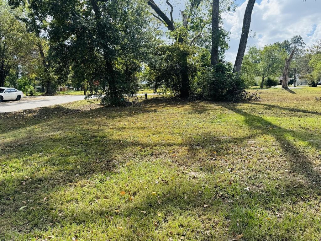 Photo of TBD Clarence St, Dayton, TX 77535 (MLS # 3160777)