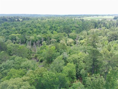 Photo of 133 Pr 1313, Centerville, TX 75833 (MLS # 76440902)