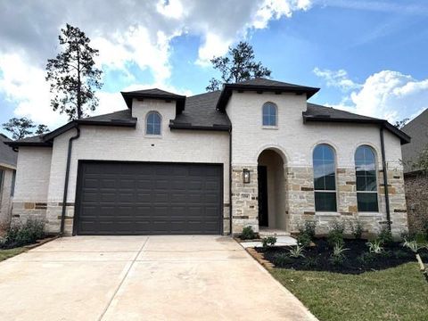Photo of 358 Wild Fork Court, Conroe, TX 77304 (MLS # 34810866)