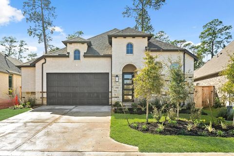 358 Wild Fork Court Conroe TX 77304