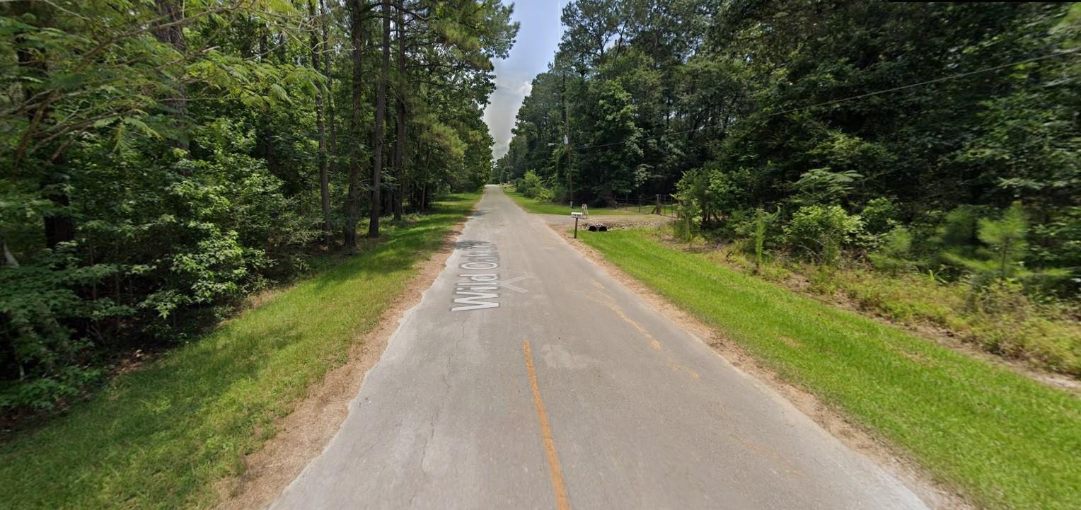 374 Wild Oak Drive