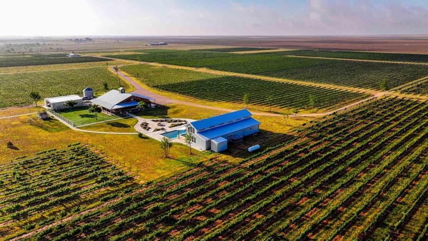 374 FM 1317, TAHOKA, TX 79373 - Image ddddd5cc64b6597161f9b8412f8daa09/2203203697