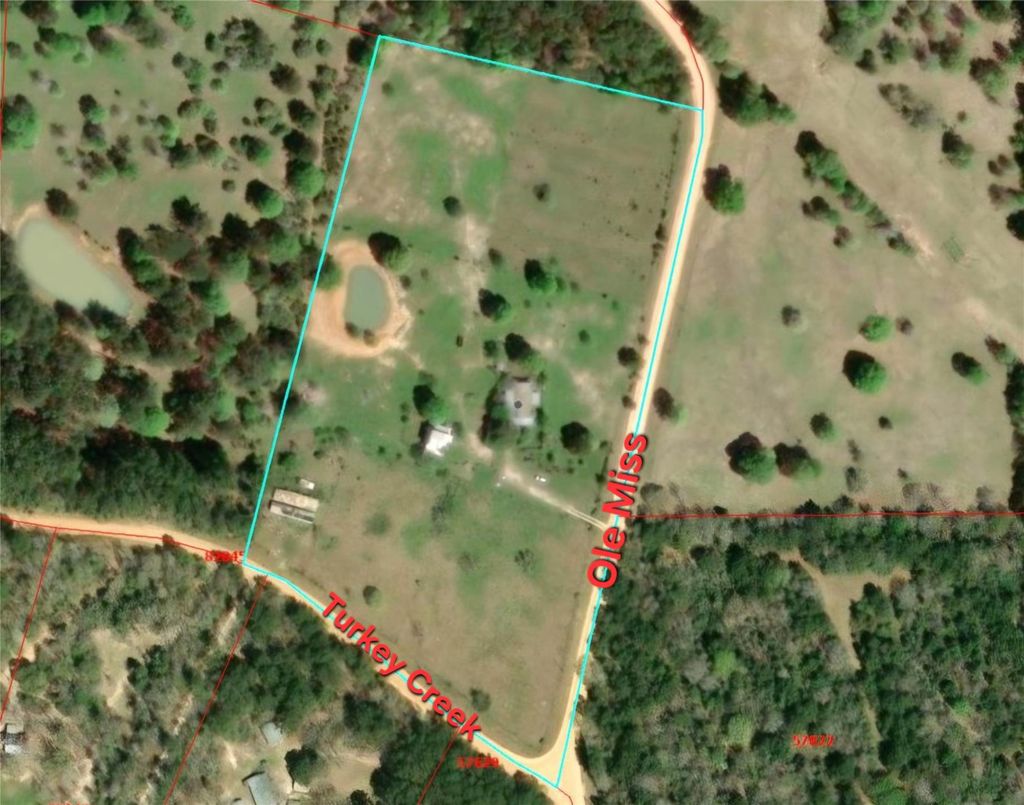 Photo of 740 Ole Miss, Livingston, TX 77351 (MLS # 13332689)