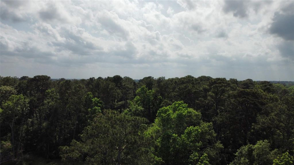 Photo of 18086 Fm 1485, Conroe, TX 77306 (MLS # 91883707)