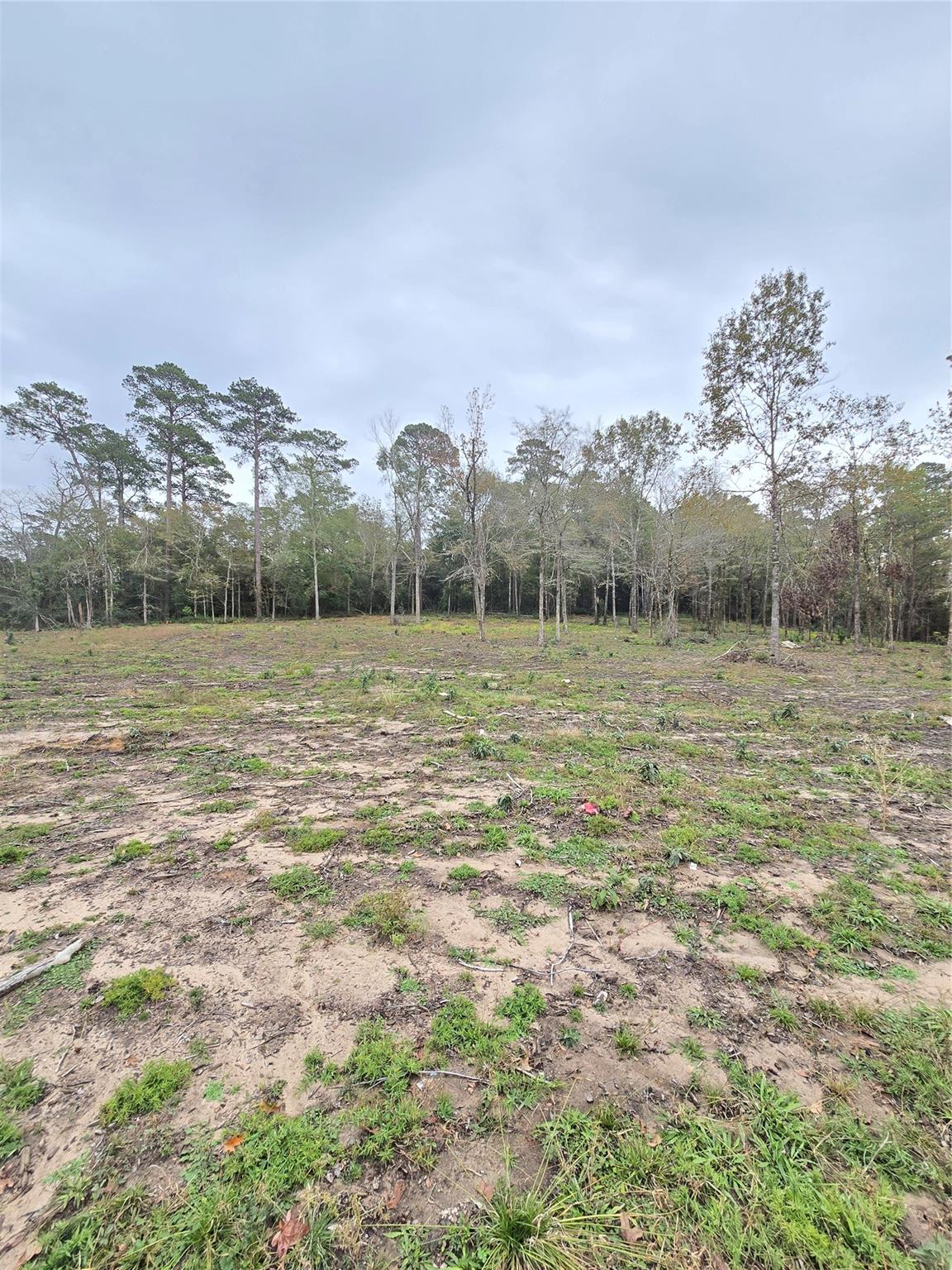 1006 S Houston Avenue