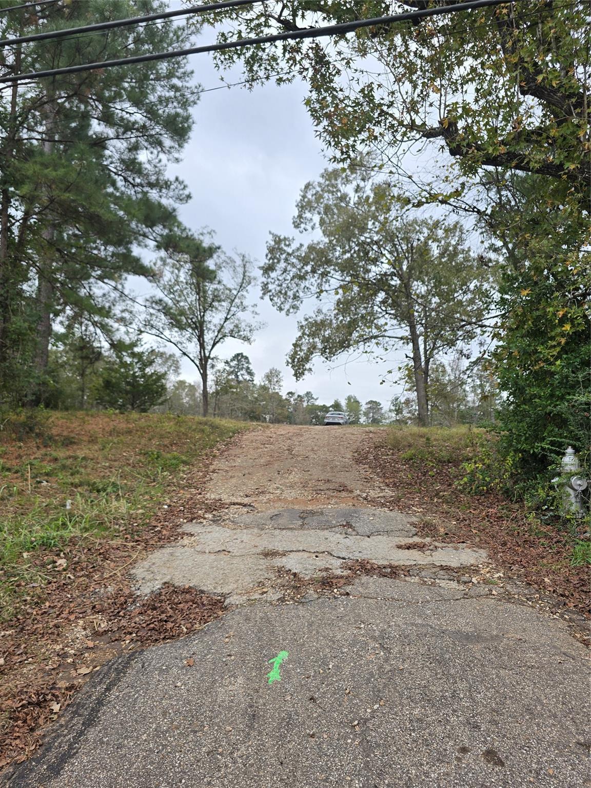 1006 S Houston Avenue