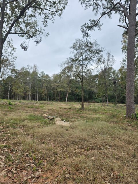 1006 S Houston Avenue Livingston TX 77351