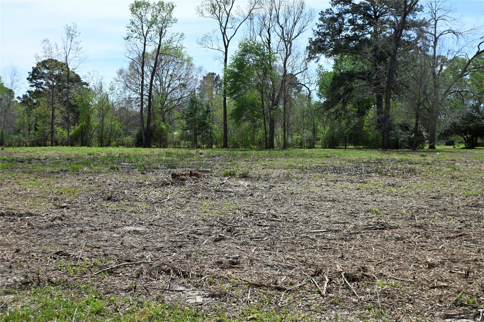 lot 2 County Road 2360