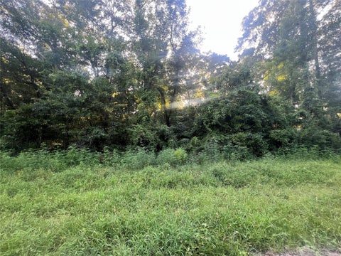 Vacant Land For Sale - N/A Royal Creek Rd<br/> Conroe, TX 77303
