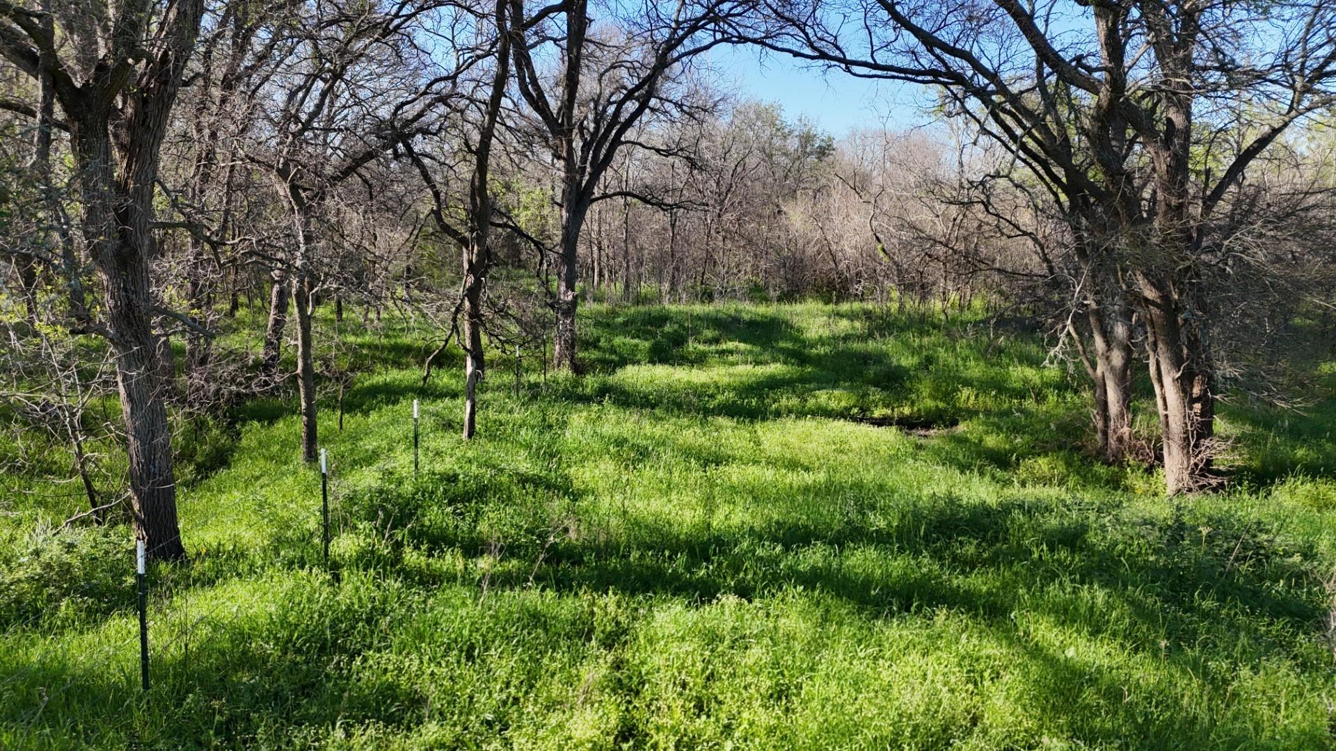 1127 Limestone County Road 607