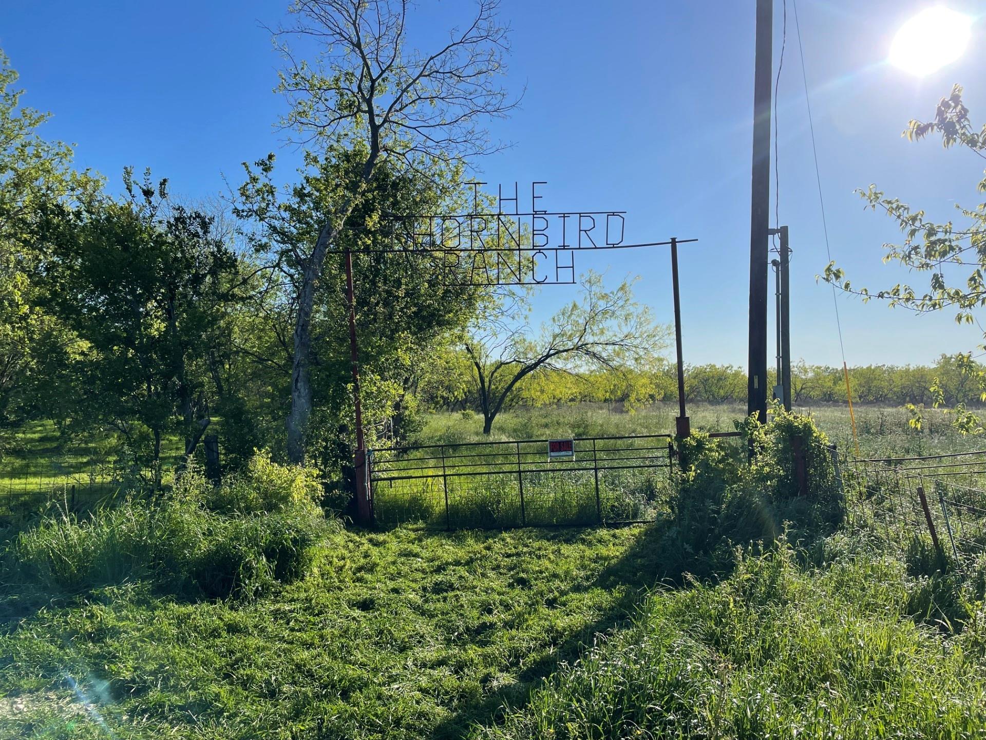 1127 Limestone County Road 607