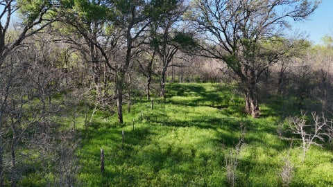 Vacant Land For Sale - 1127 Limestone County Road 607<br/> Groesbeck, TX 76642