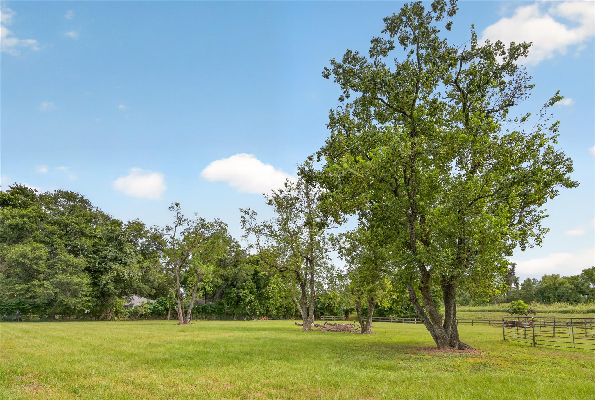 TBD Michael Wayne Road