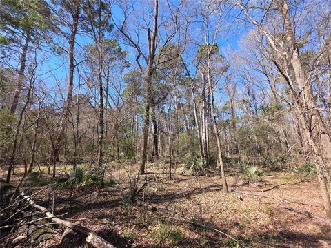 Vacant Land For Sale - TBD Fm 156<br/> Coldspring, TX 77331
