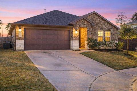 11519 Parrot Fish Court Conroe TX 77304