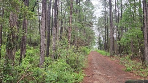 Photo of 33 Gum Tree Lane, Plantersville, TX 77363 (MLS # 8765671)