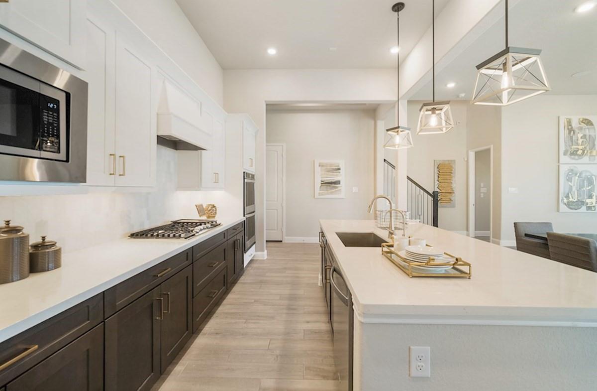 11123 Swamp Edge Lane