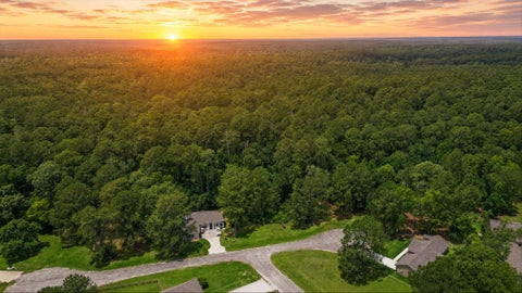 Vacant Land For Sale - 11 Peaceful Drive<br/> Walker County, Huntsville, TX 77340