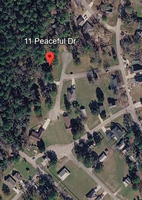 Photo of 11 Peaceful Drive, Huntsville, TX 77340 (MLS # 92749302)