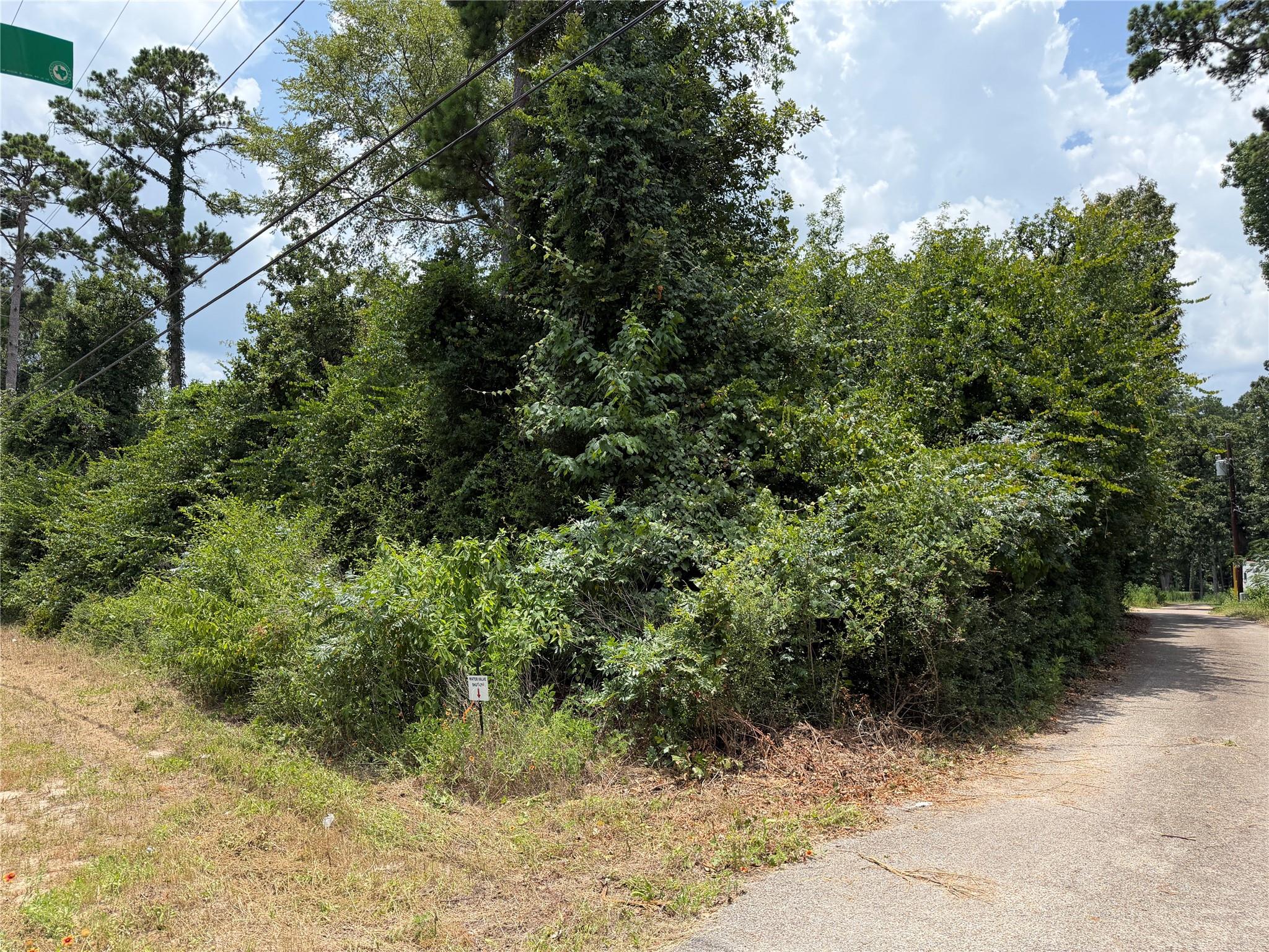 19895 Martha Road