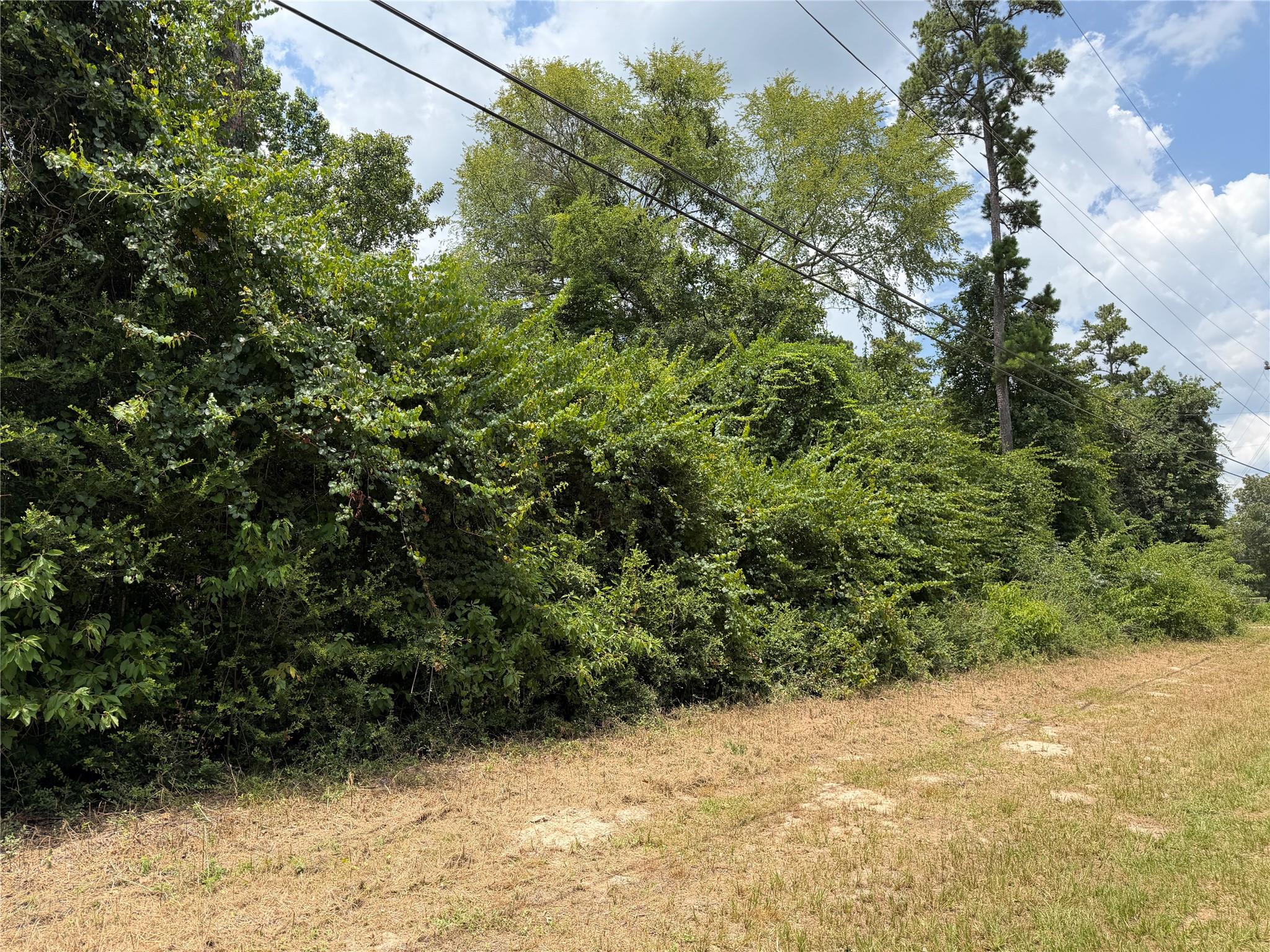 19895 Martha Road