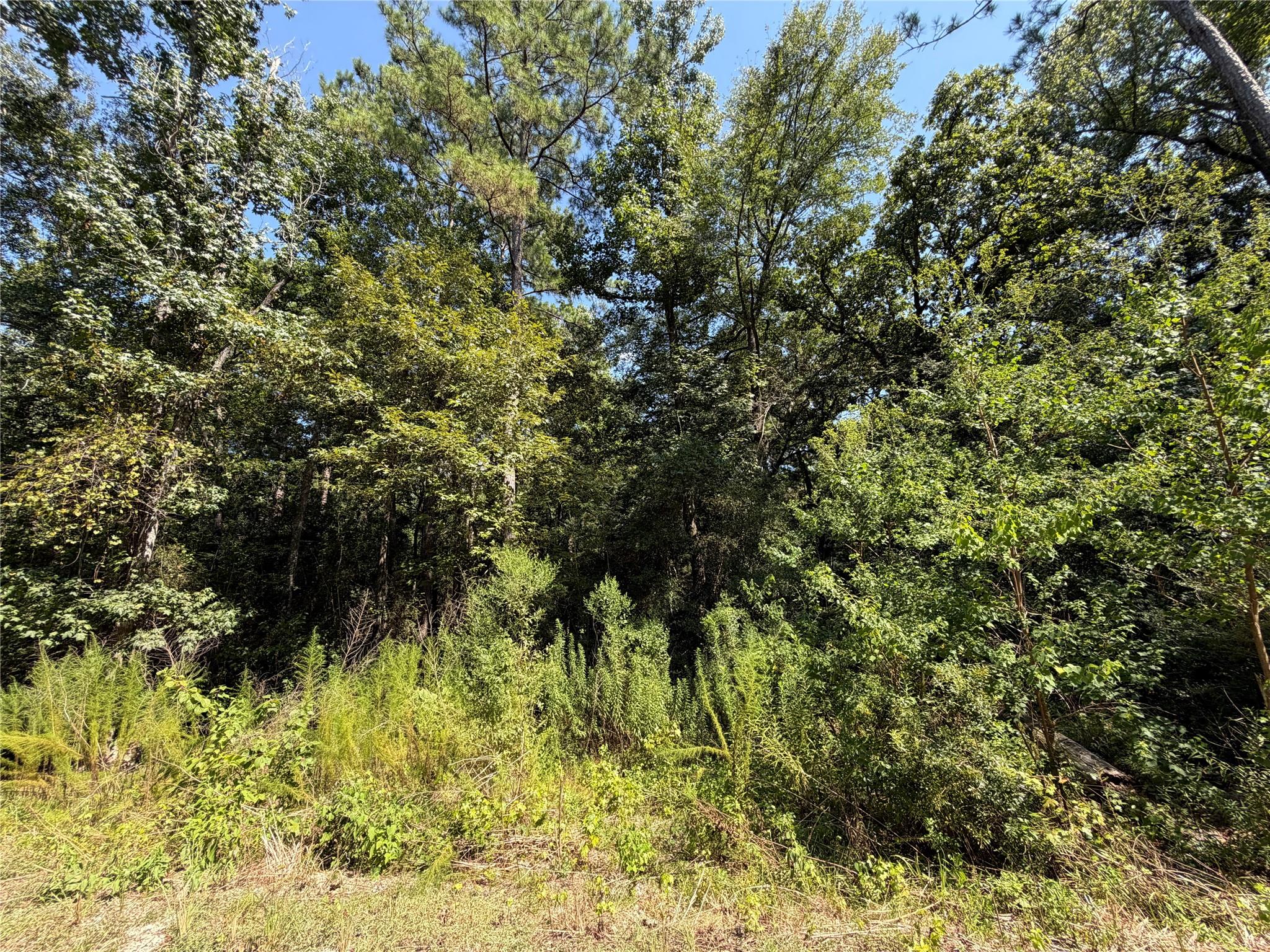 97-22-19 Granite Road