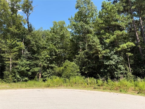 Photo of 97 Granite Road, Huntsville, TX 77340 (MLS # 20420513)