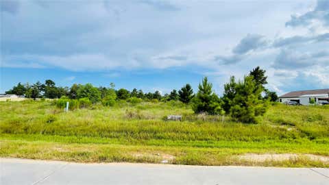 Vacant Land For Sale - 127 Road 5130<br/> Cleveland, TX 77327