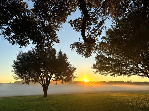 Photo of 4203 Old Mill Creek Road, Brenham, TX 77833 (MLS # 98516814)