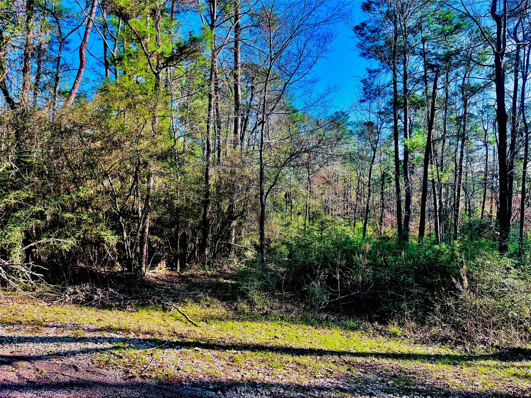 23 Wentworth Ln