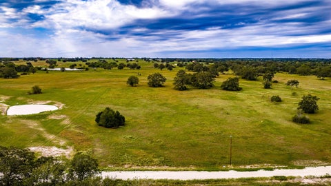 Photo of 1390 S Connor Landing Street, Madisonville, TX 77864 (MLS # 61826157)