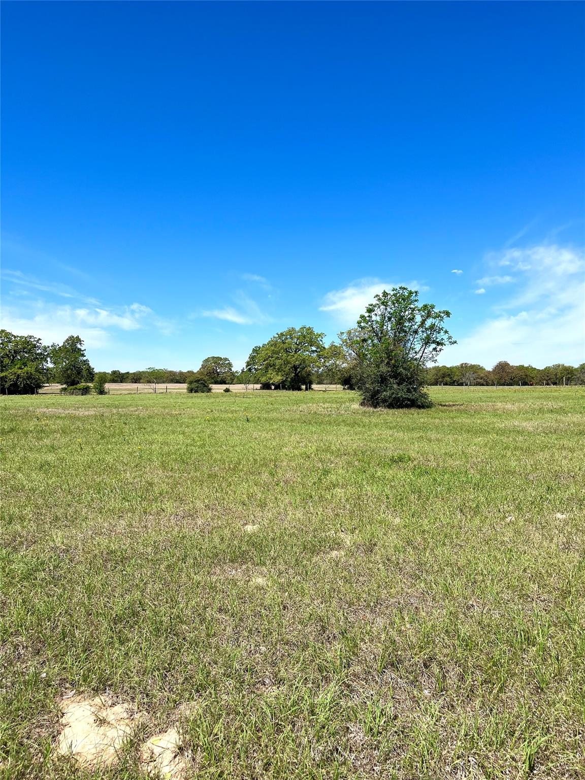 2654 County Road 329