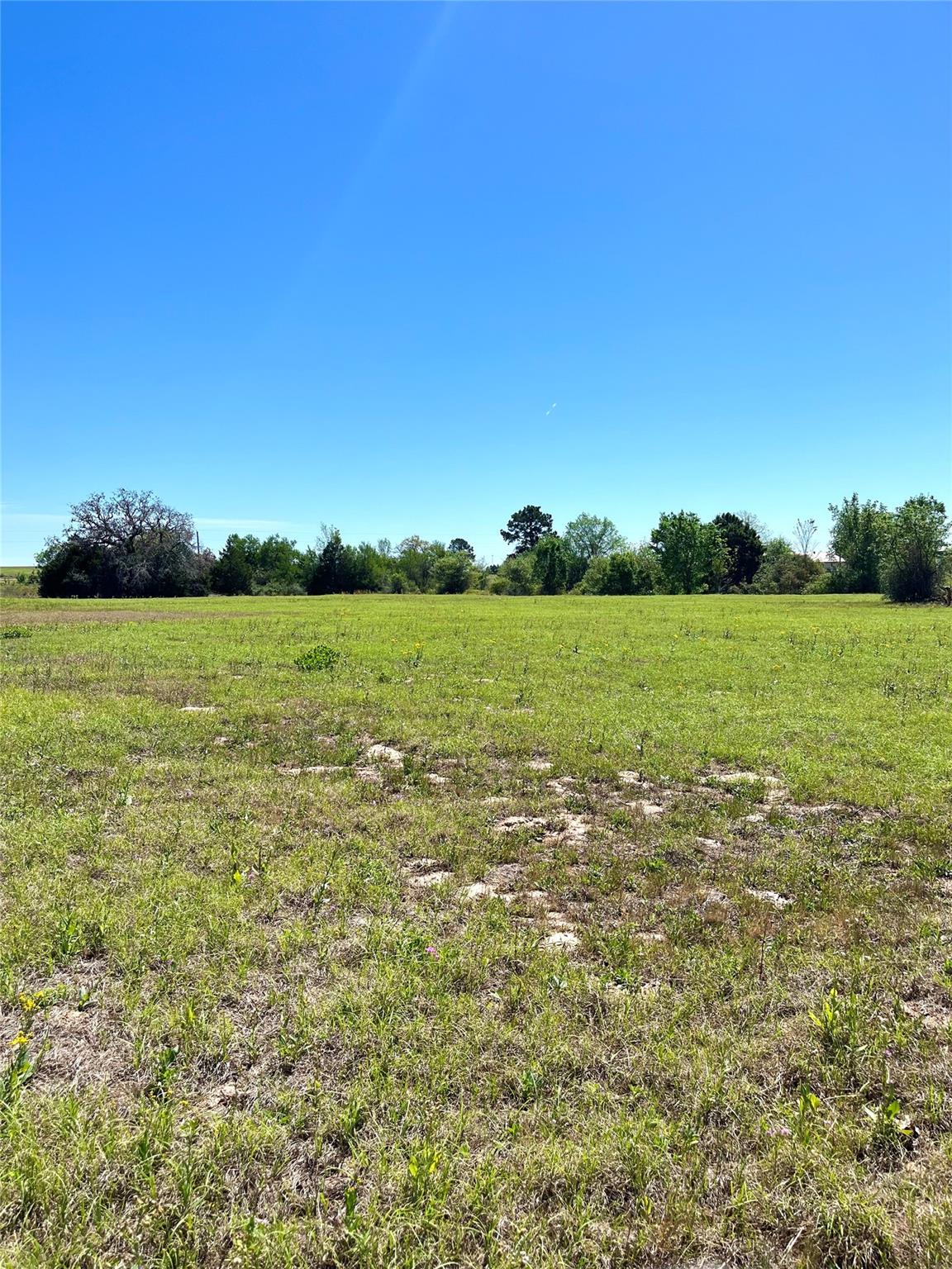2654 County Road 329