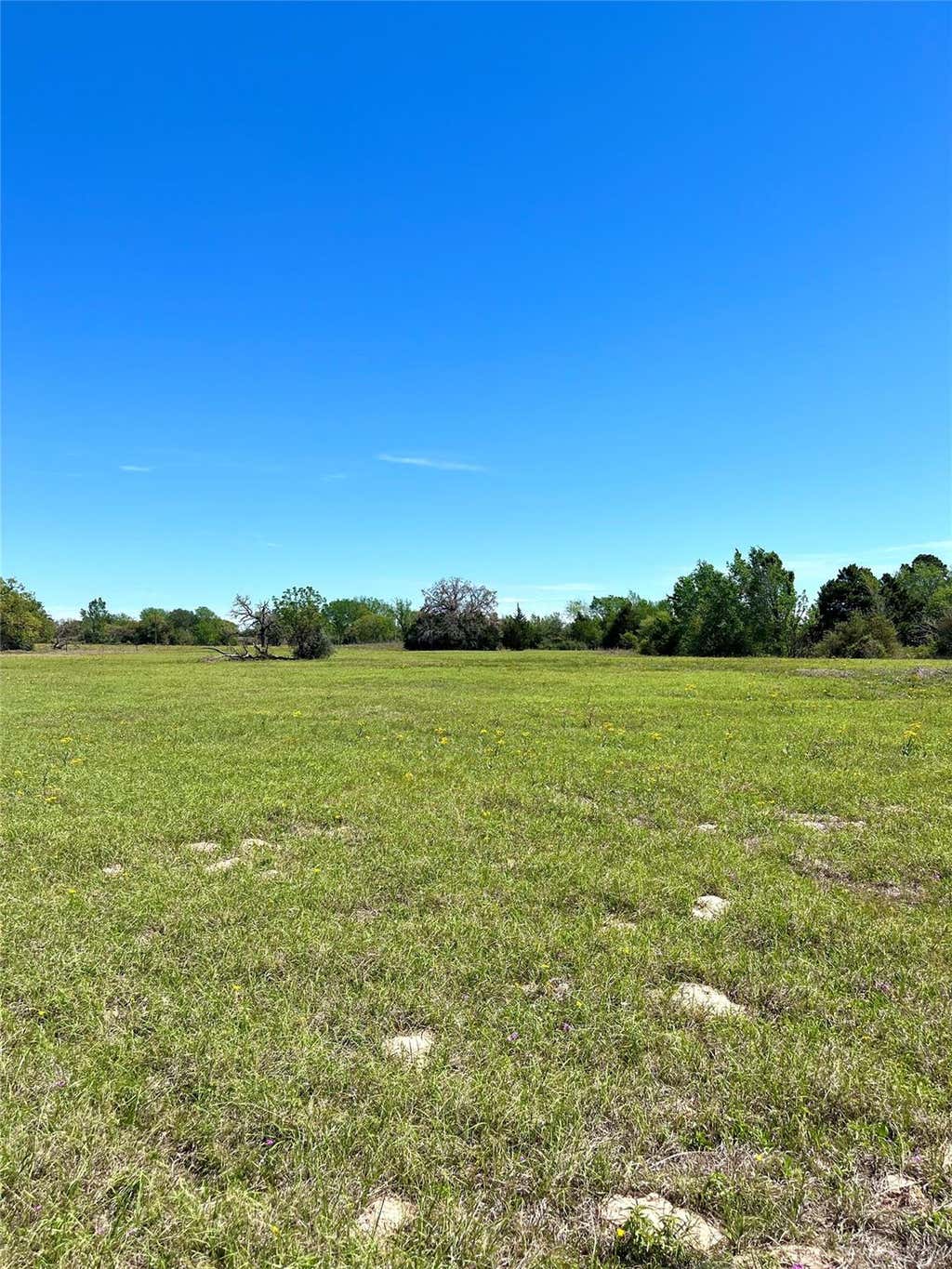 Photo of 2654 County Road 329, Lincoln, TX 78948 (MLS # 78697731)