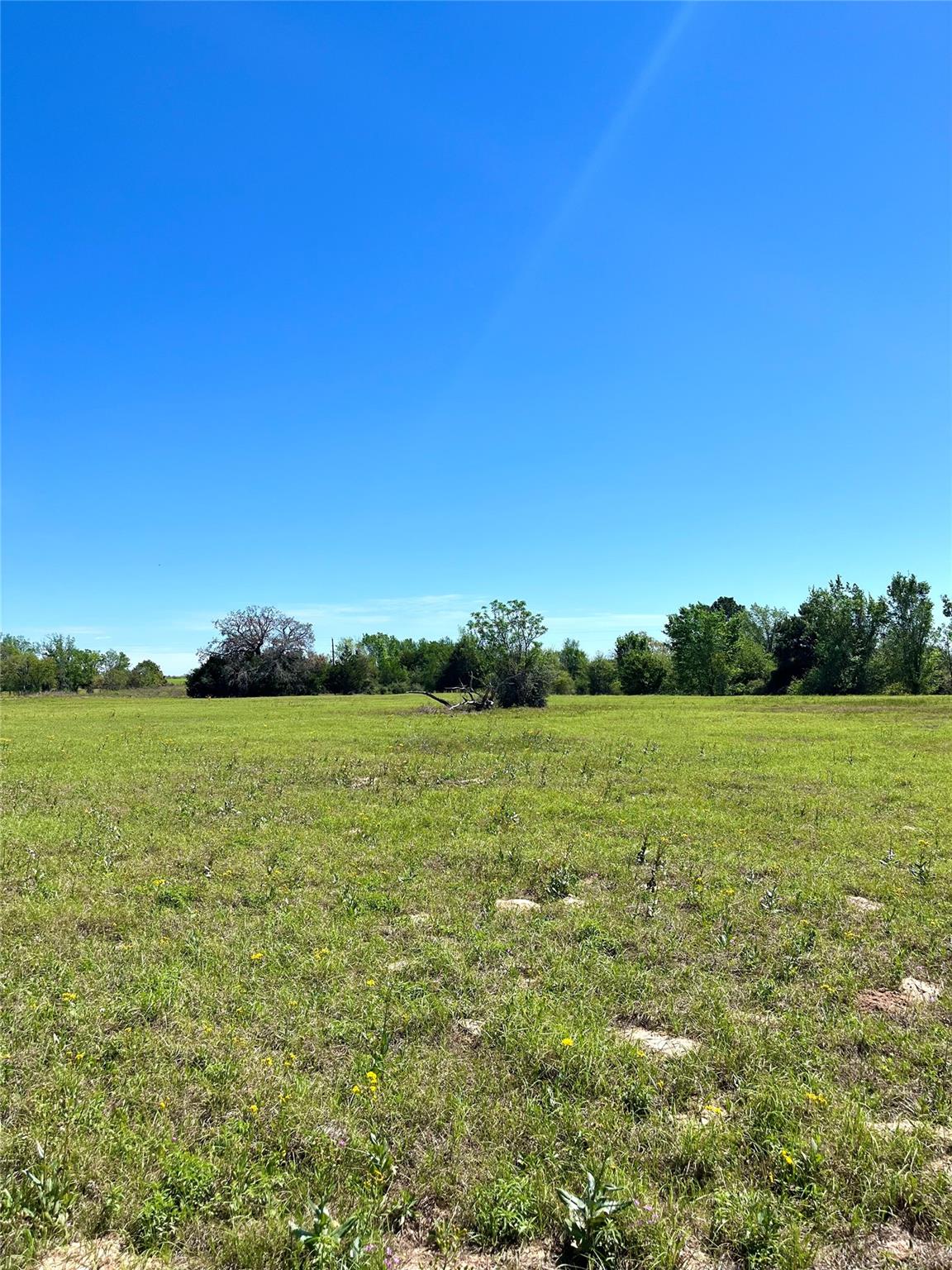 2654 County Road 329