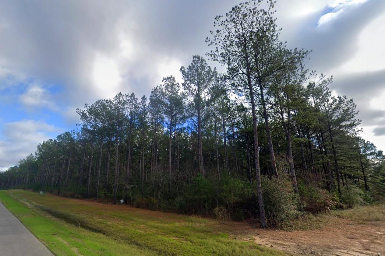 16010 Forest Mill Road