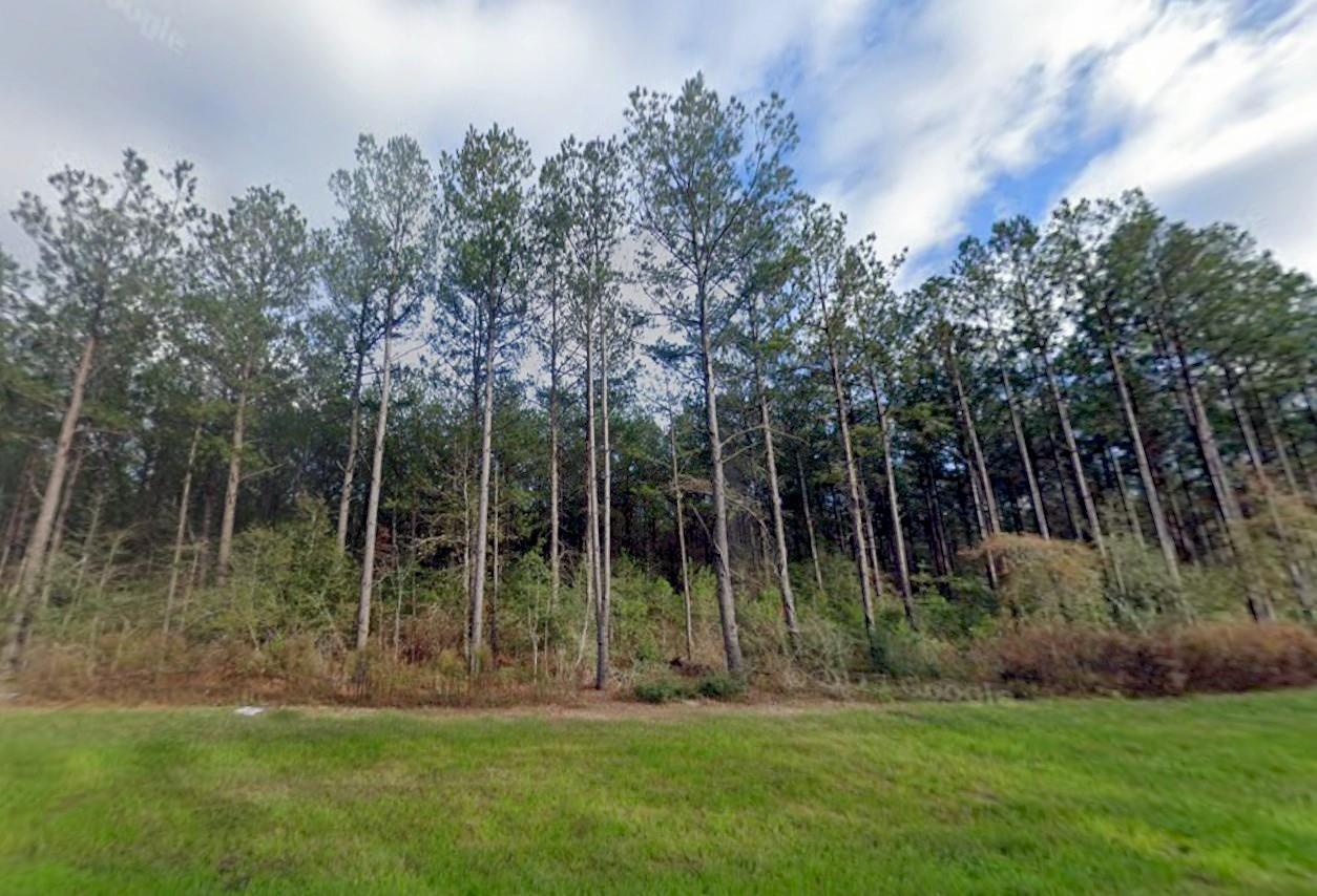 16010 Forest Mill Road