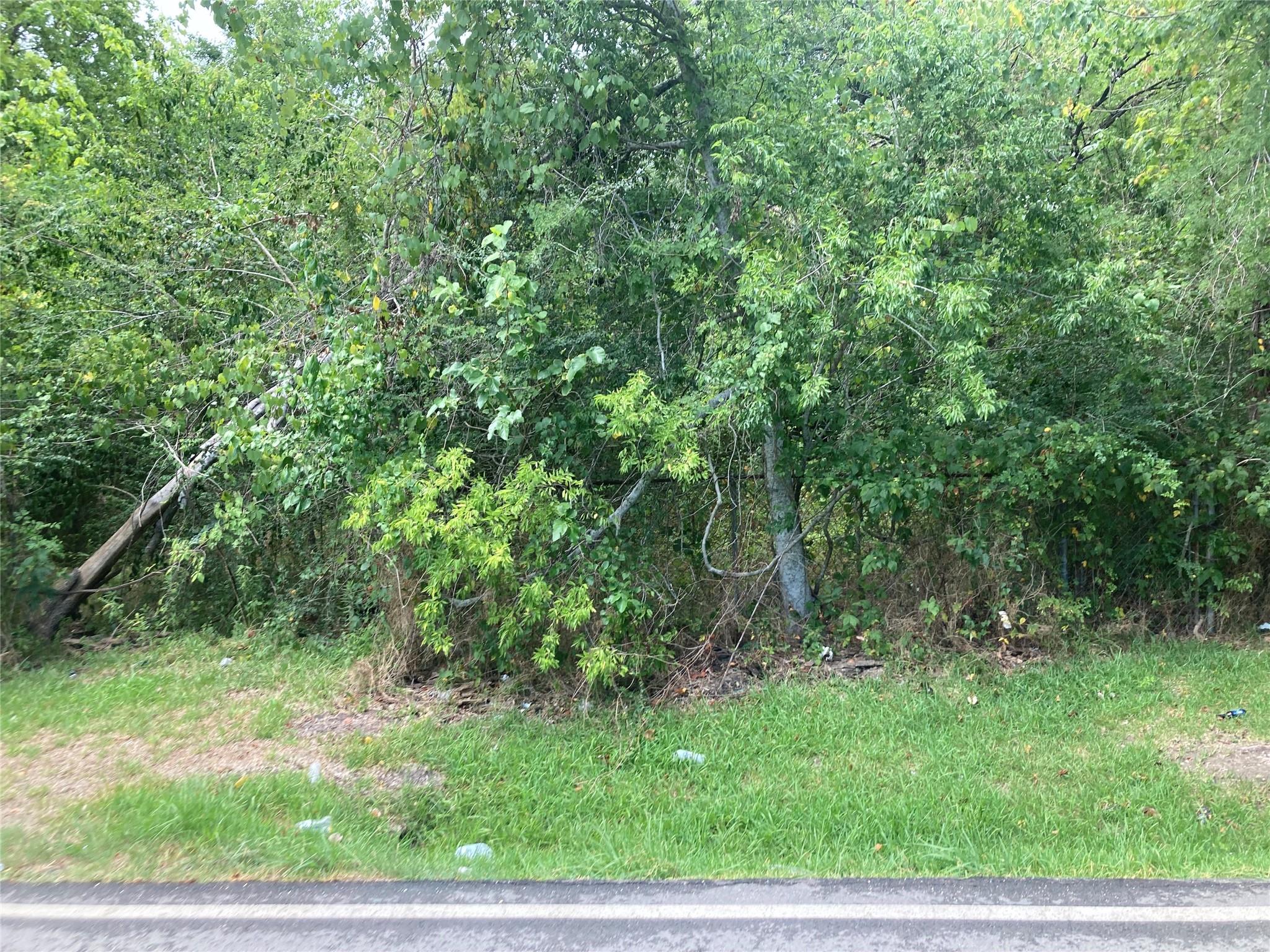 206 Arcadian Drive