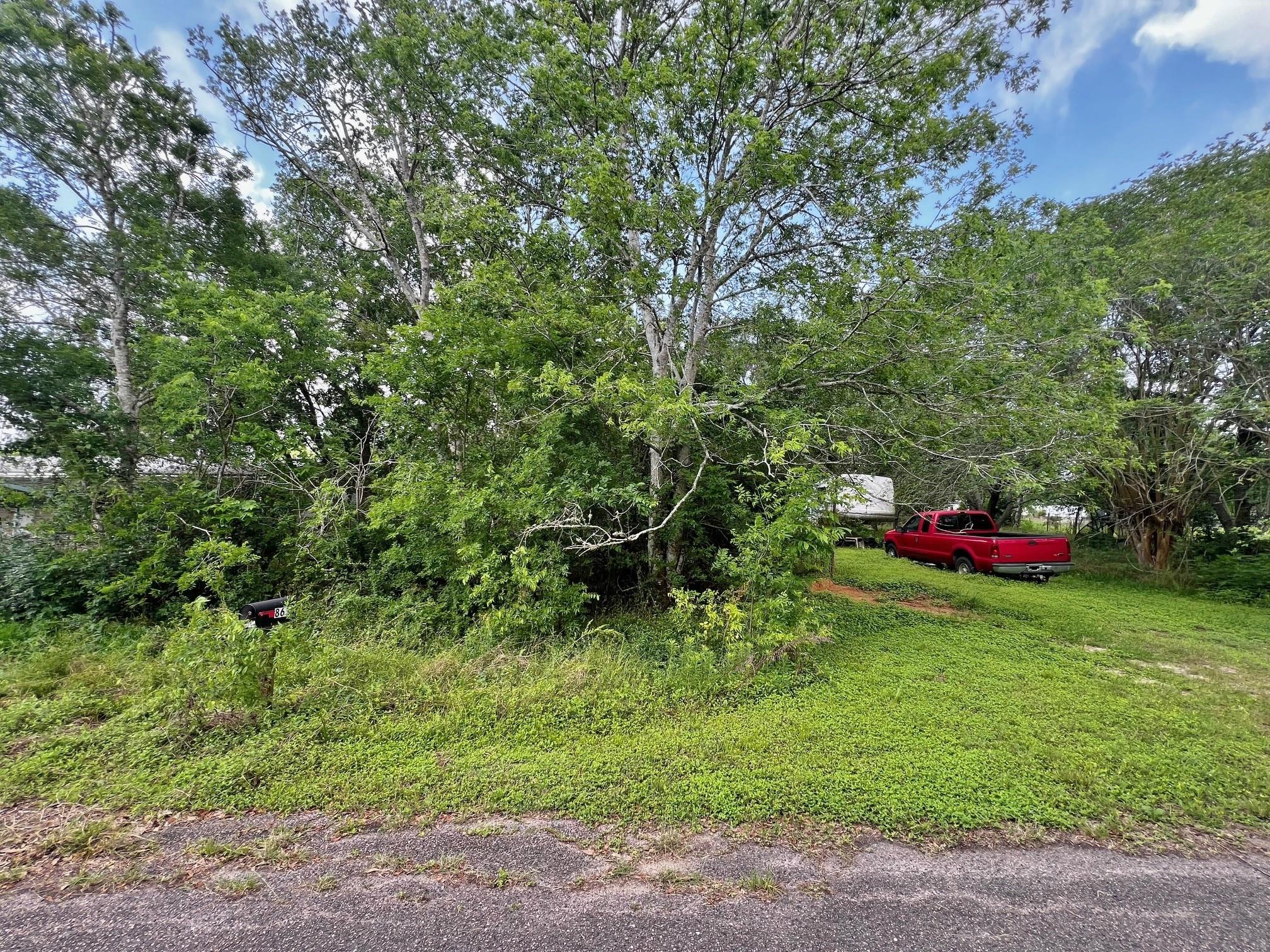 863 County Road 925b