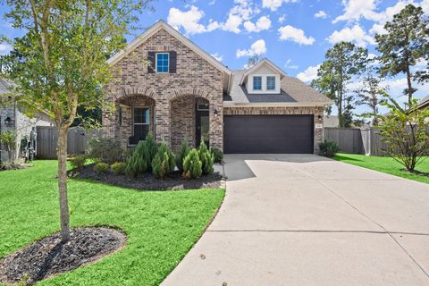 104 Winged Elm Court Willis TX 77318