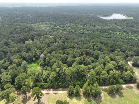 Photo of 3340 County Road 325, Navasota, TX 77868 (MLS # 68361144)