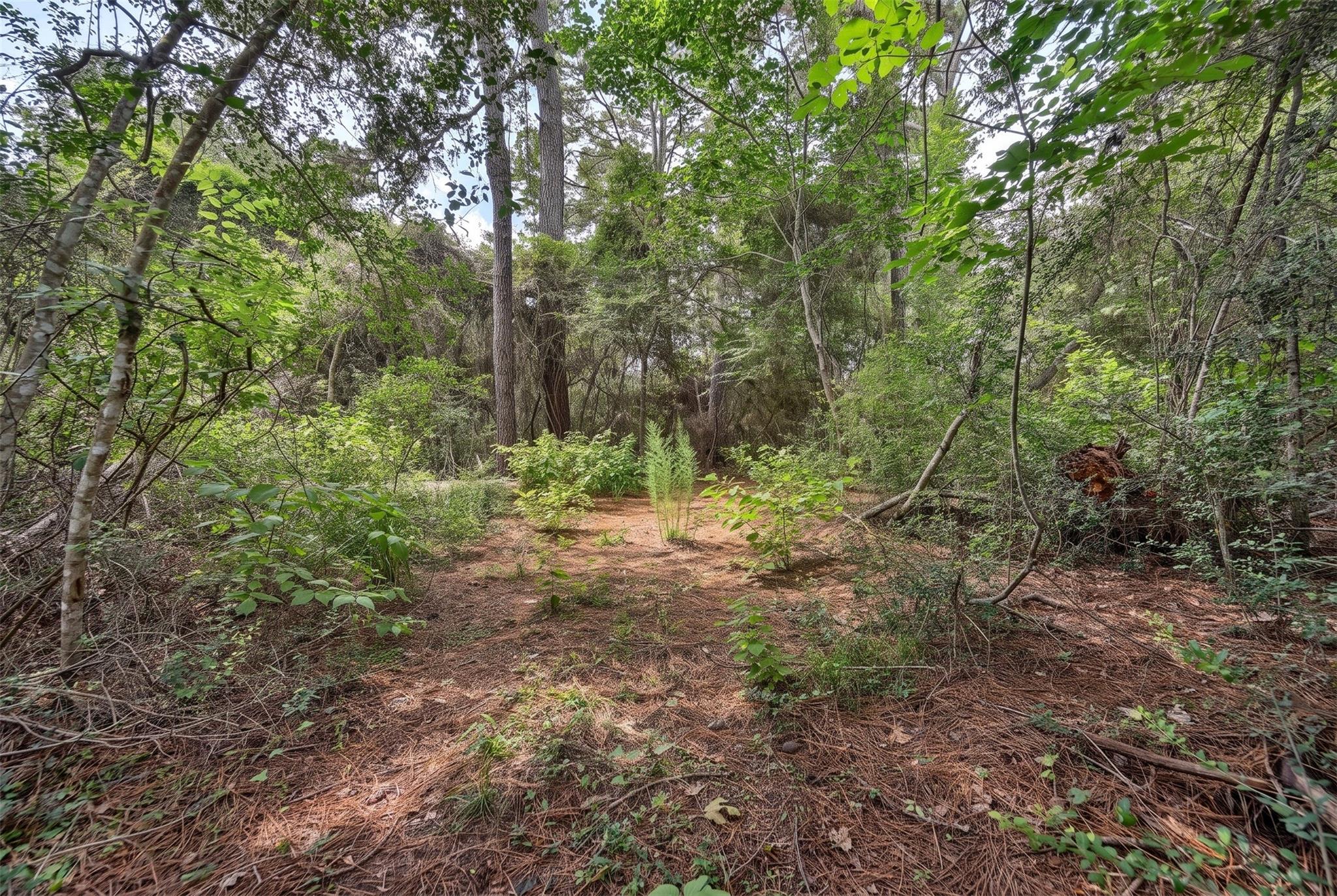 Lot Four, 3340 County Road 325
