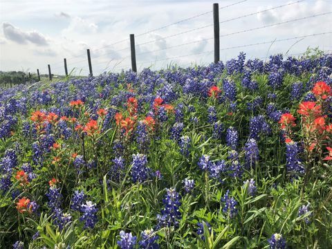 Vacant Land For Sale - 6700 Fm-50<br/> Brenham, TX 77833