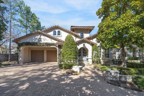 78 Angelique Way The Woodlands TX 77382