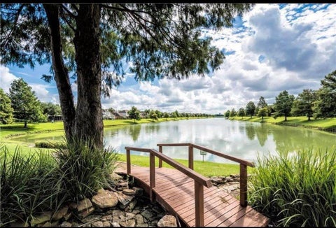 Photo of 3827 Shady Breeze Drive, Houston, TX 77082 (MLS # 52338716)