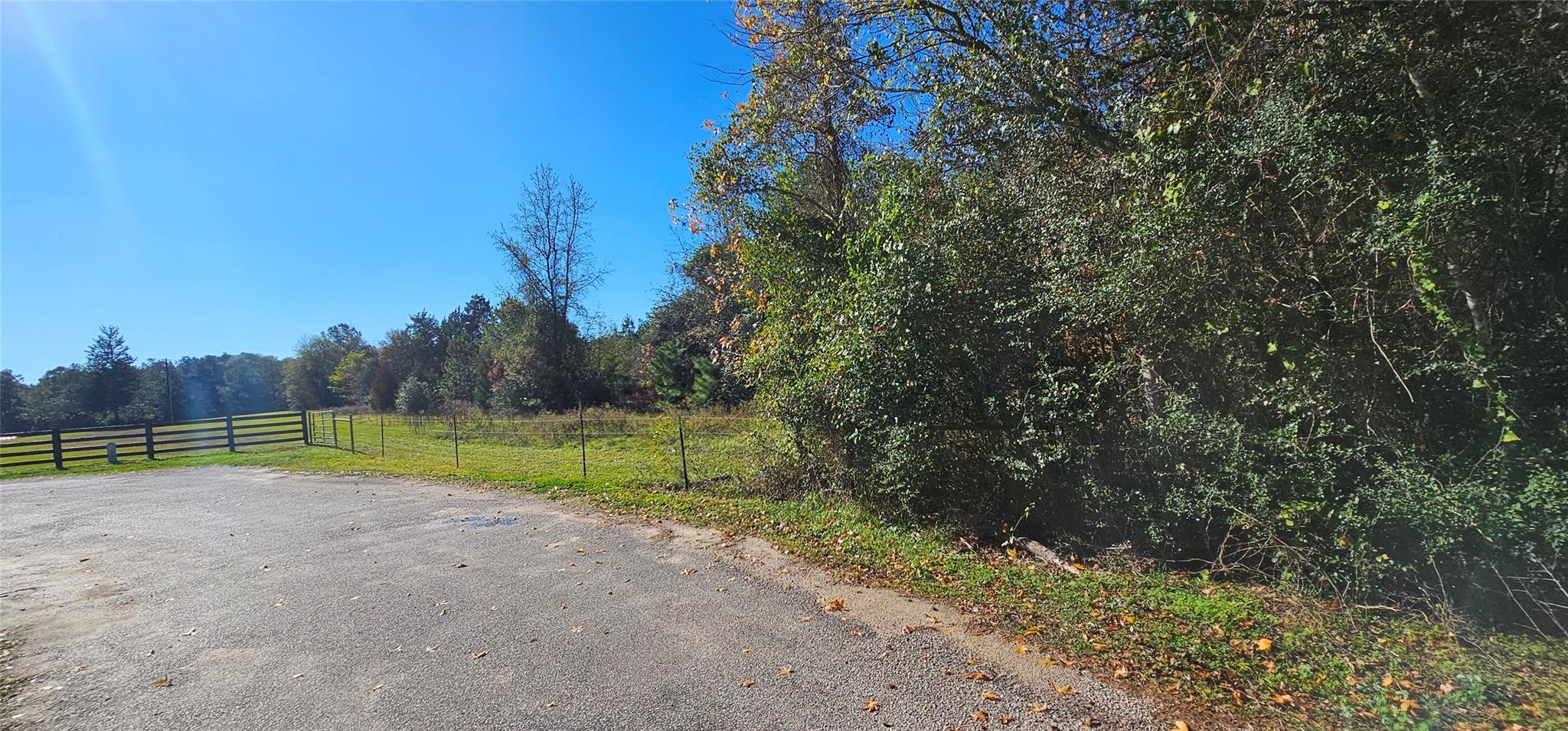TBD Family Lane S