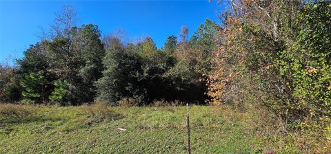 TBD Family Lane S New Waverly TX 77358