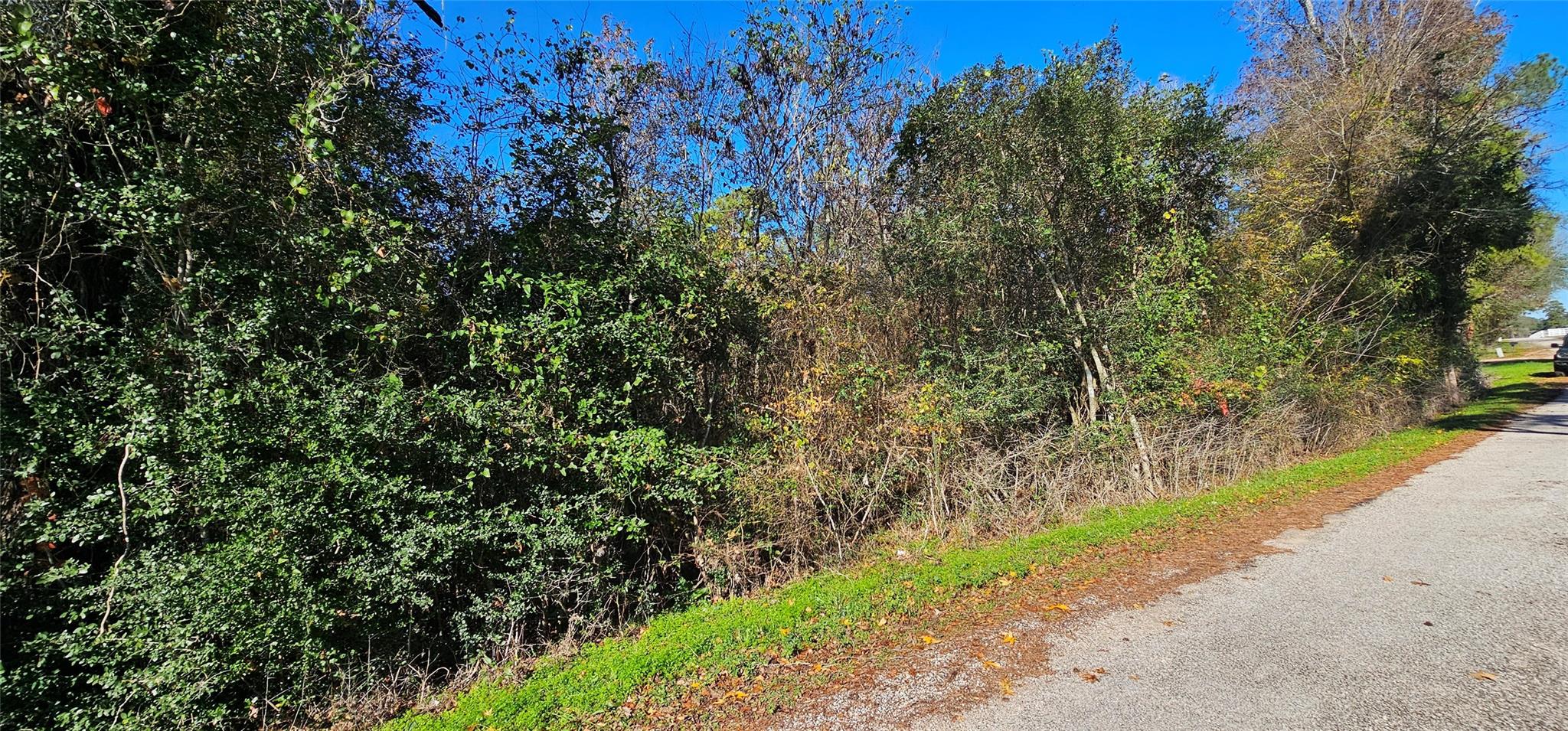 TBD Family Lane S