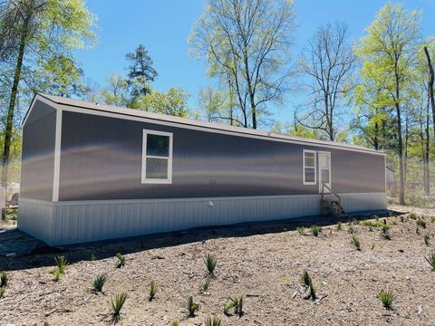 Photo of 30 Hellon Lane, Shepherd, TX 77371 (MLS # 68093744)